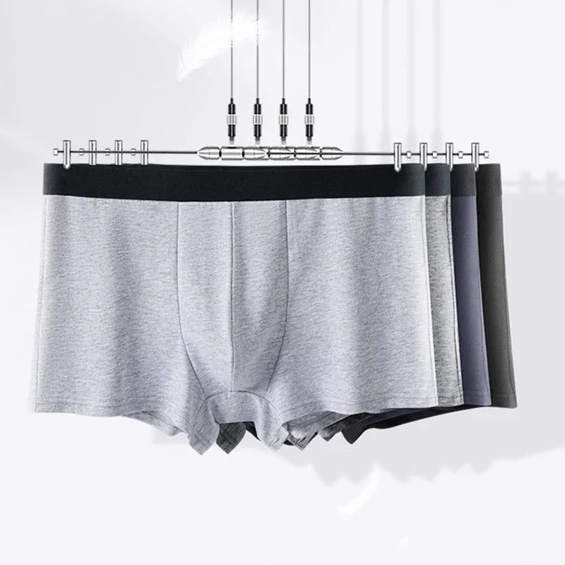 Basic Boxer Short | Ponty